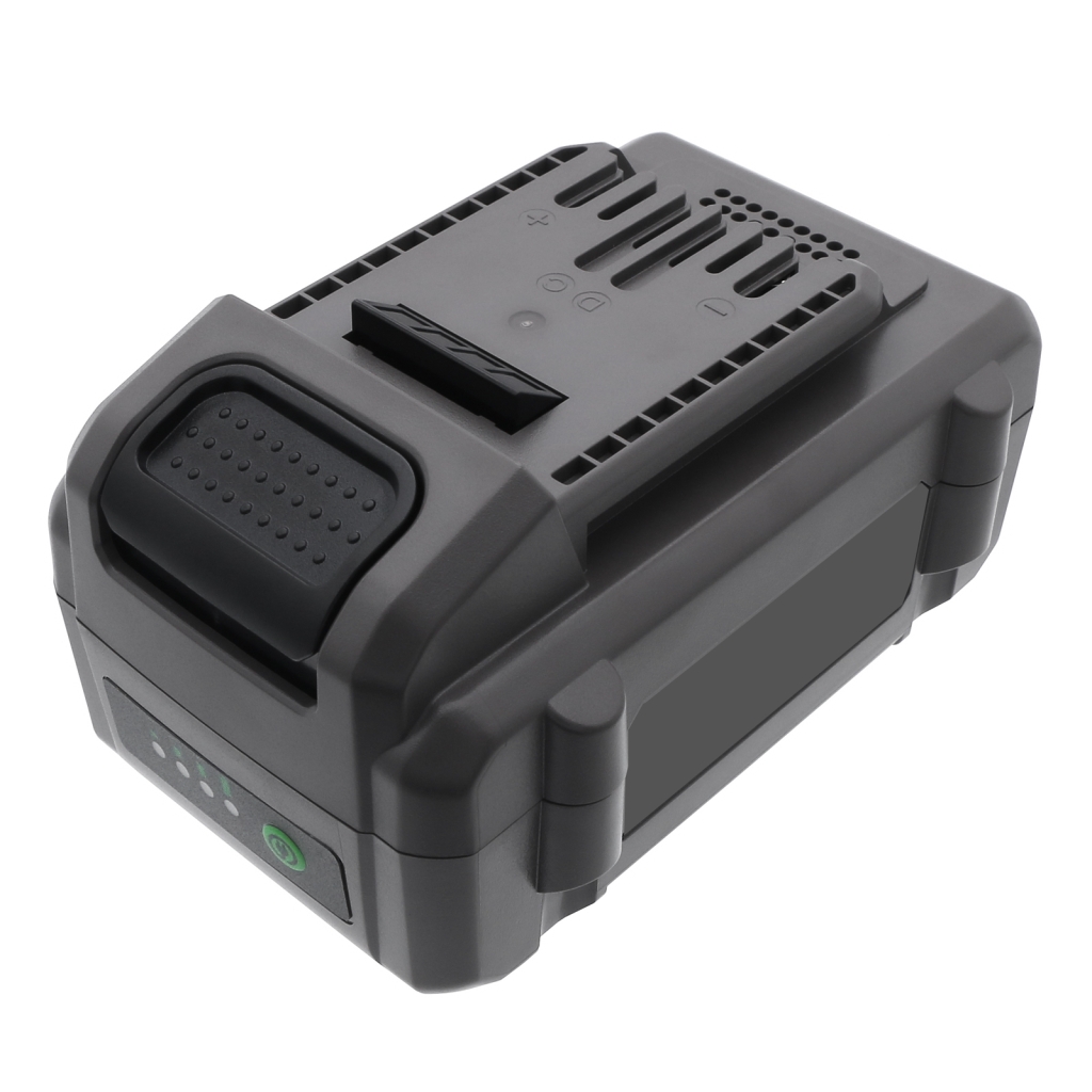 Batterie industrielle Flex CS-FEX214PW