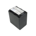 Batterie de l'appareil photo Sony CS-FH100D