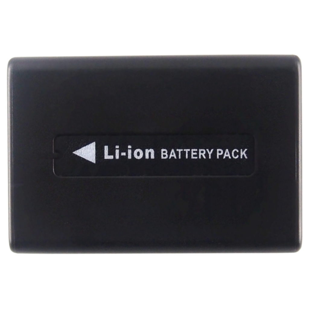 Camera Battery Sony E HDR-CX350VET
