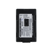 Batterij voor camera Panasonic NV-DS99