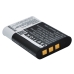 Camera Battery Sony HDR-PJ440