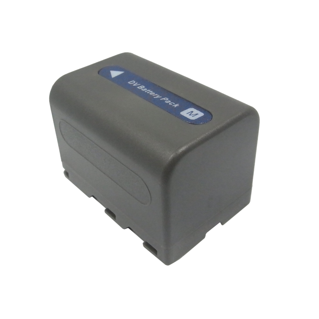 Camera Battery Leaf Aptus-II 10R