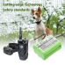 Dogtra 2002B Transmitter