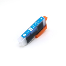 Remplacement compatible pour EPSON C13T24324012